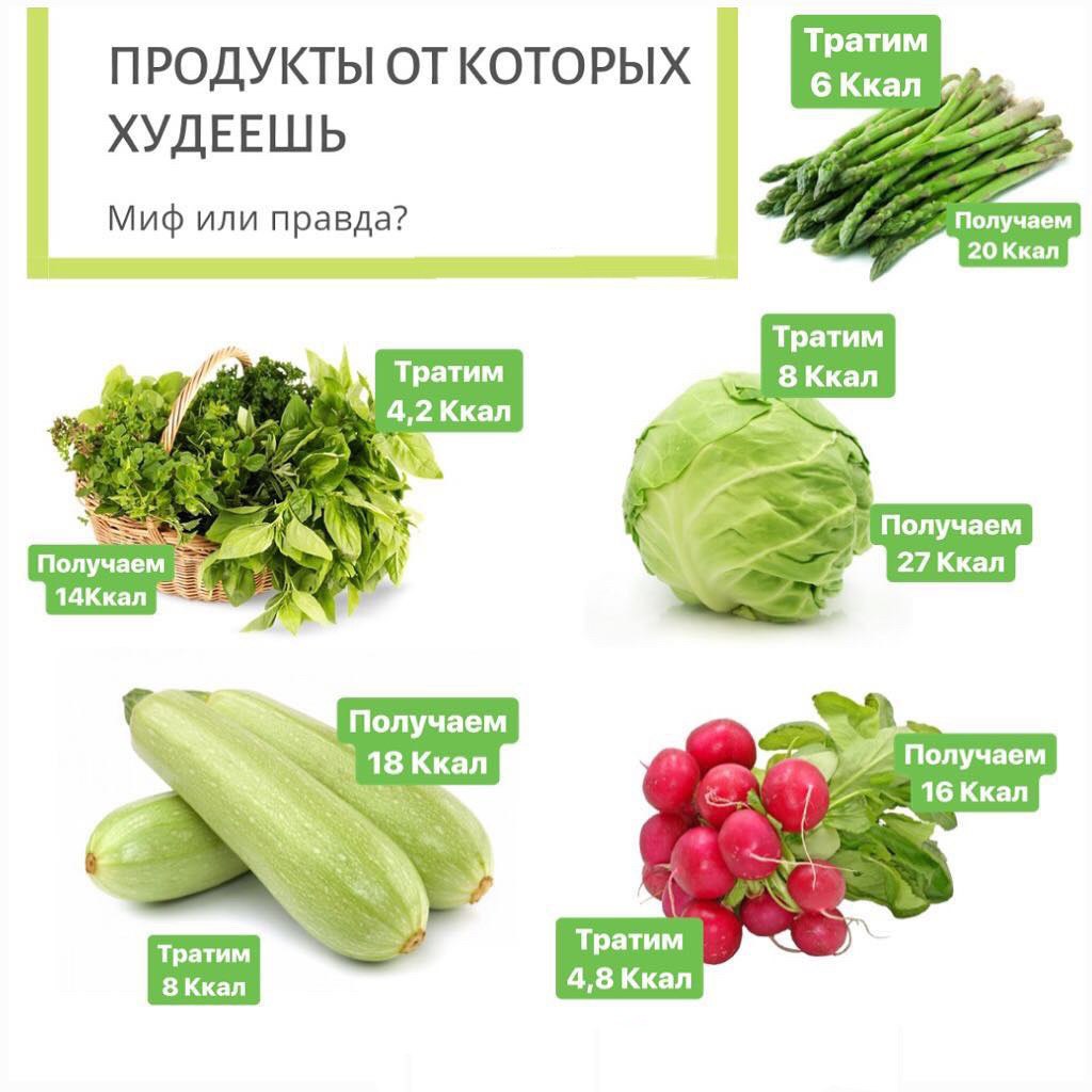 Продукты с отрицательной ккал