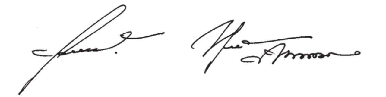 Подпись некорректна. Подпись Макарова. Красивые подписи. Рукописная подпись. Образцы подписей.