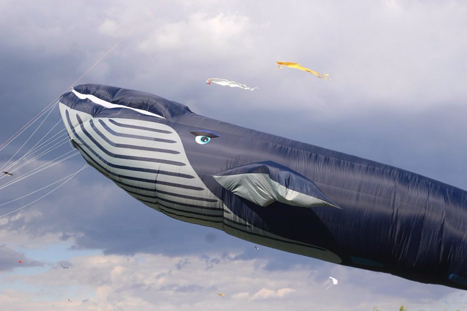 50-метровый кит проплывет в небе над Хабаровском
