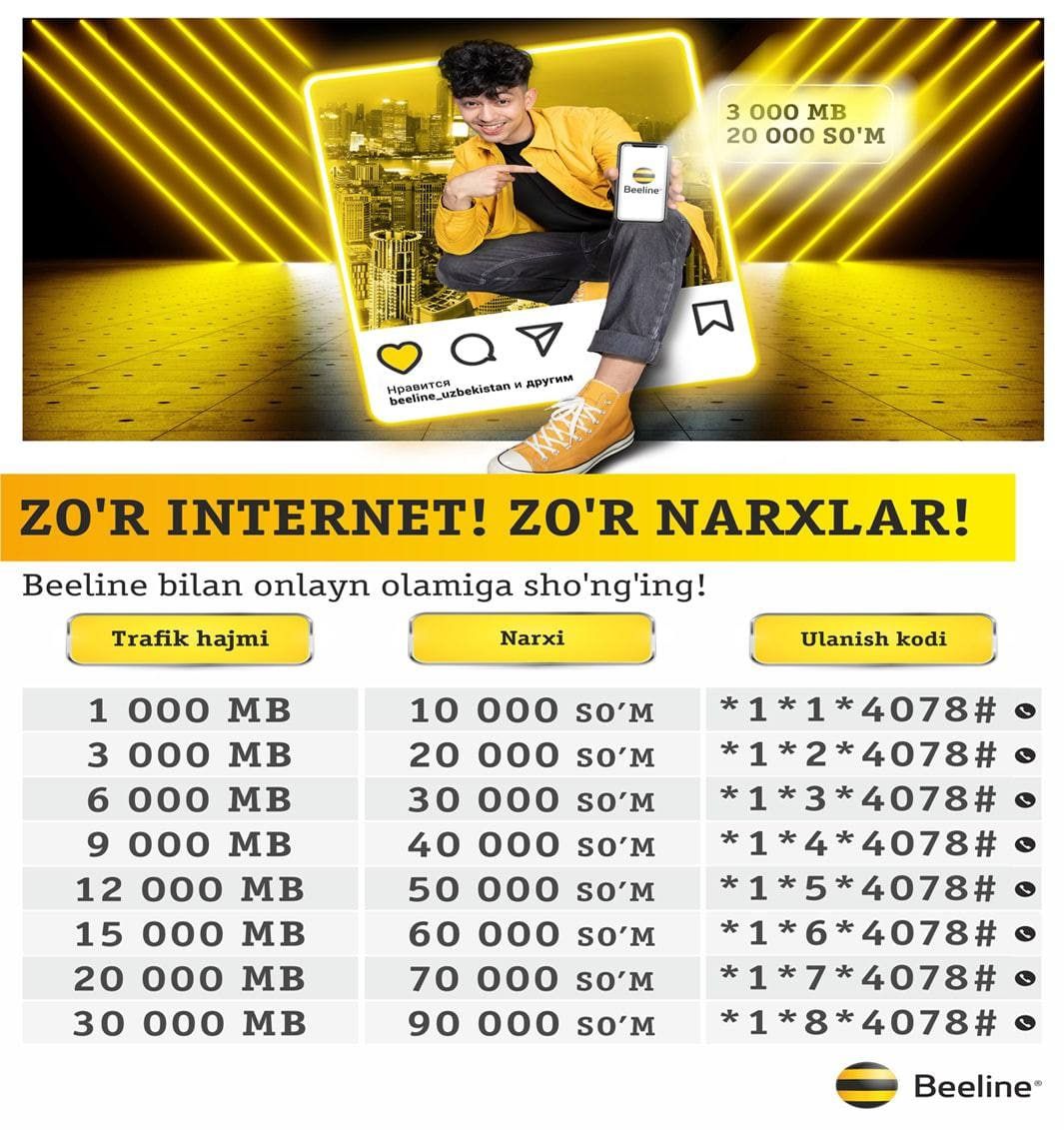 Beeline internet paket