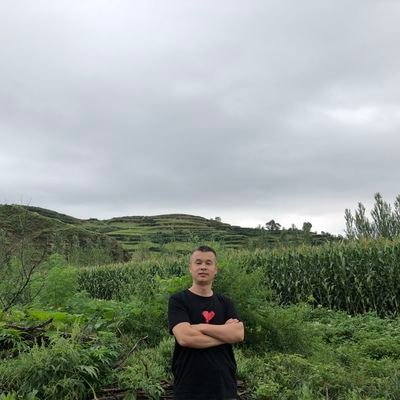 https://telegra.ph/file/0e2df27b277efd1b054c9.jpg