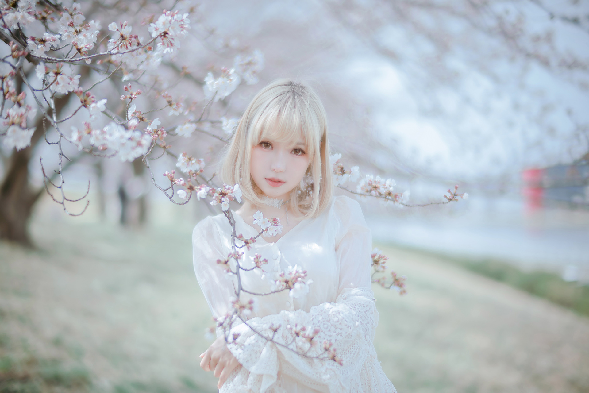 [Ely] Sakura桜 2021 Nekomimi Ver. 39