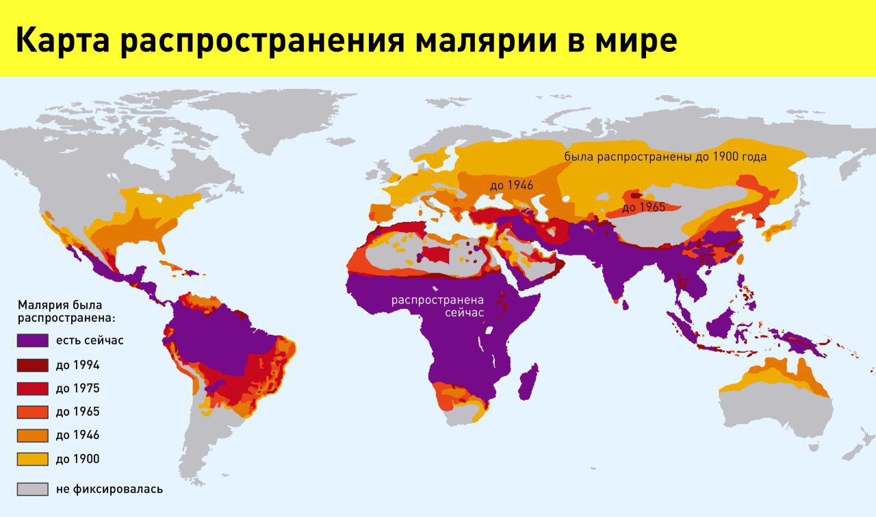 Территория распространения заболеваний называется. Карта распространения малярии. Малярия карта распространения 2021. Малярия карта распространения 2022. Распространенность малярии в мире.