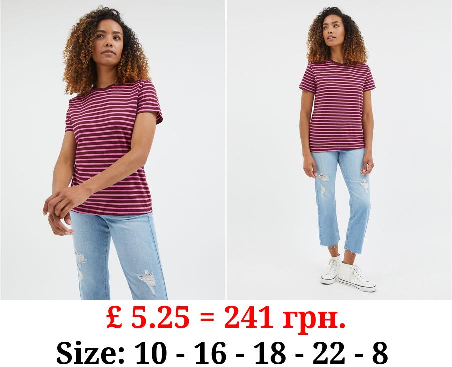 Pink Stripe Regular Fit Cotton T-Shirt