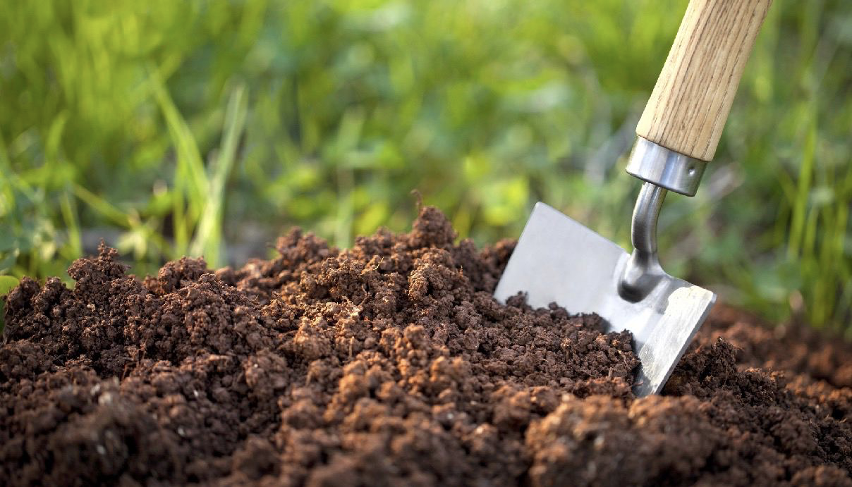 Правильная почва для выращивания конопли