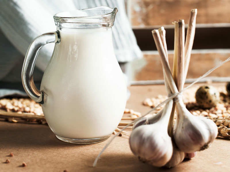 Кипяченое молоко поможет избежать неприятного запаха при употреблении чеснока