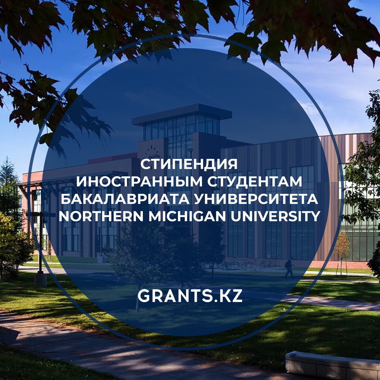 Гранты стипендии стажировки