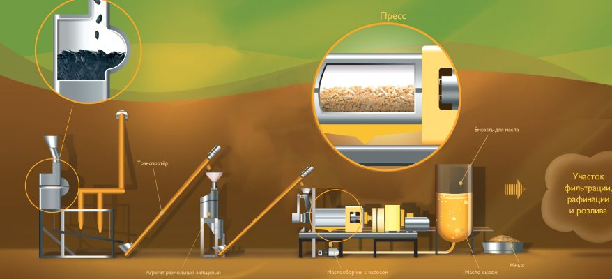 Технология масла. Технология производства подсолнечного масла. Технология производства растительного масла растительного масла. Технология производства рафинированного подсолнечного масла. Технология производства соевого масла.