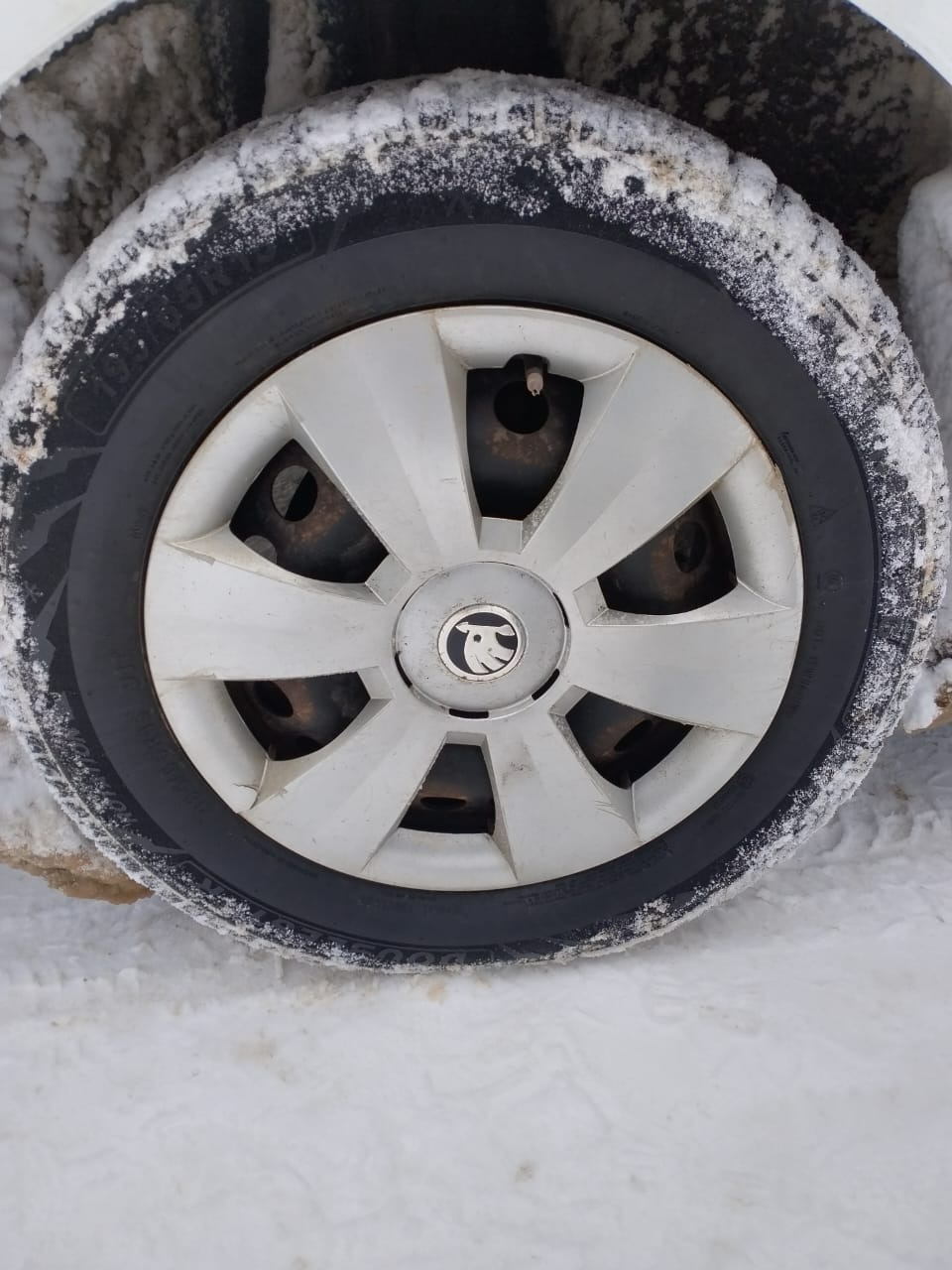 ШКОДА ОКТАВИЯ 1.6-ат-москва – Telegraph