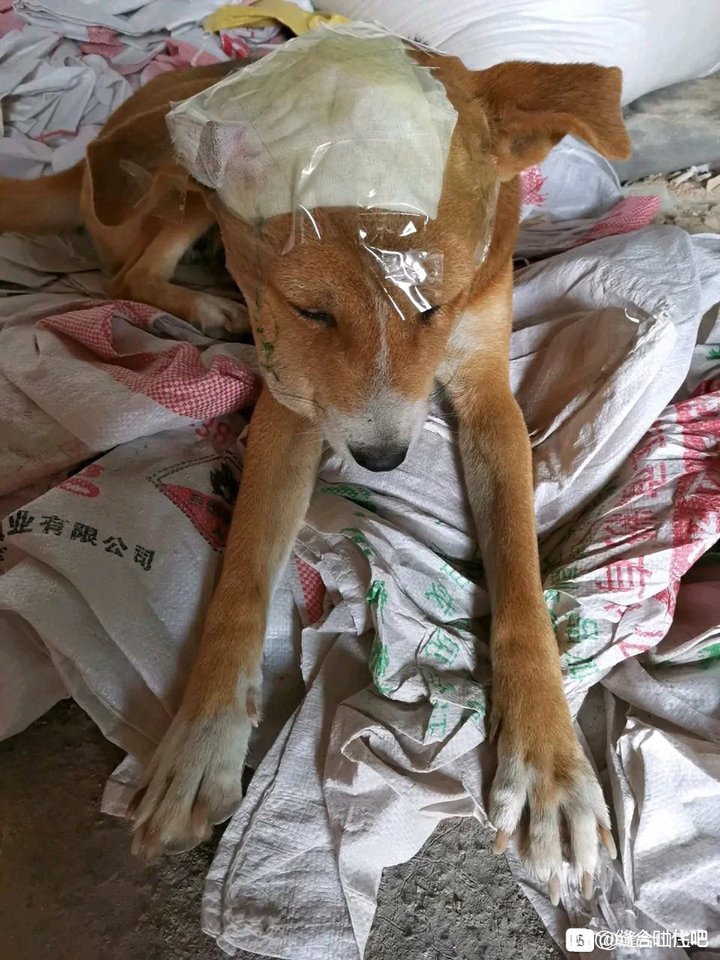 https://telegra.ph/file/112d8f0a33adb13ddd649.jpg