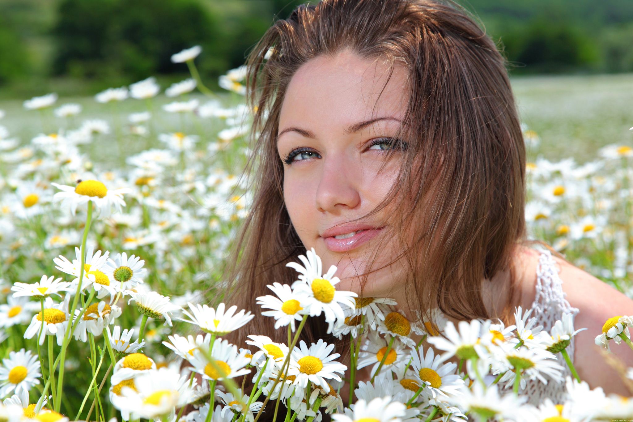 [Image: 117154cf59e1effbcb3b5.jpg]