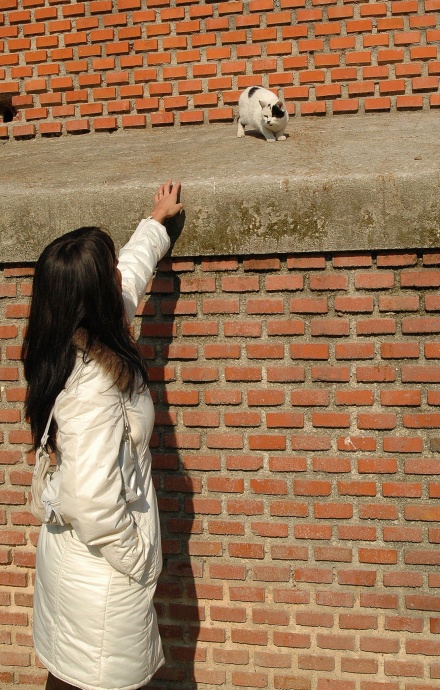 [Image: 119a1e2d3b175ce2ad5c8.jpg]