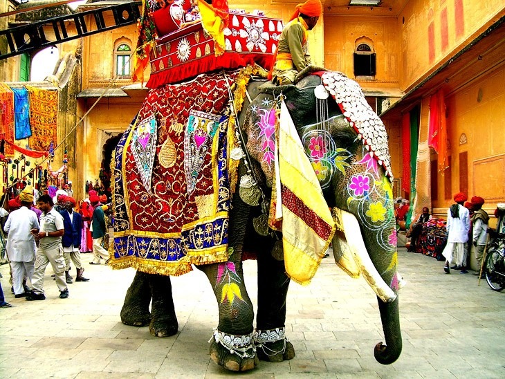 Фестиваль слонов в Джайпуре — познай мир Индии