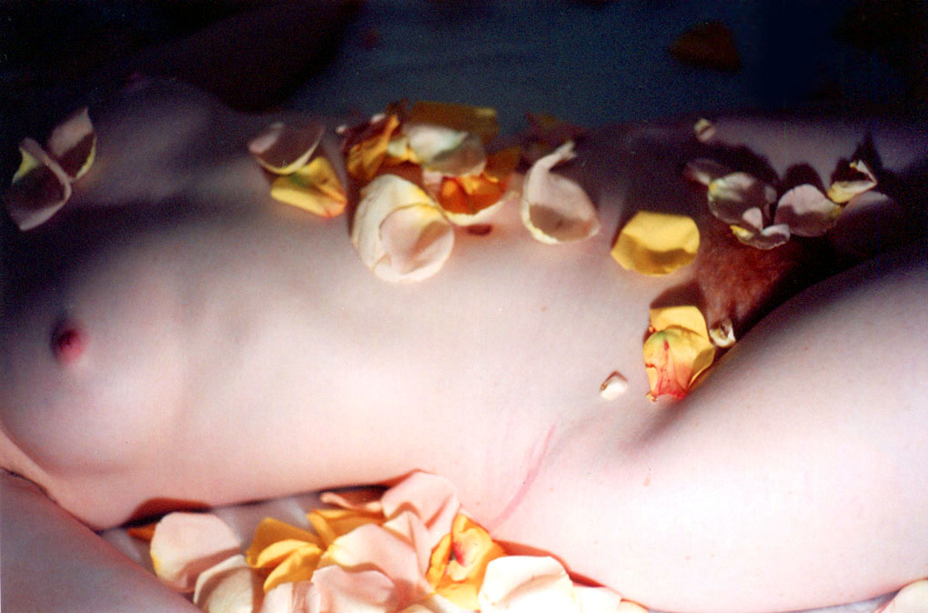 [Image: 1265605fc381fdb22e157.jpg]
