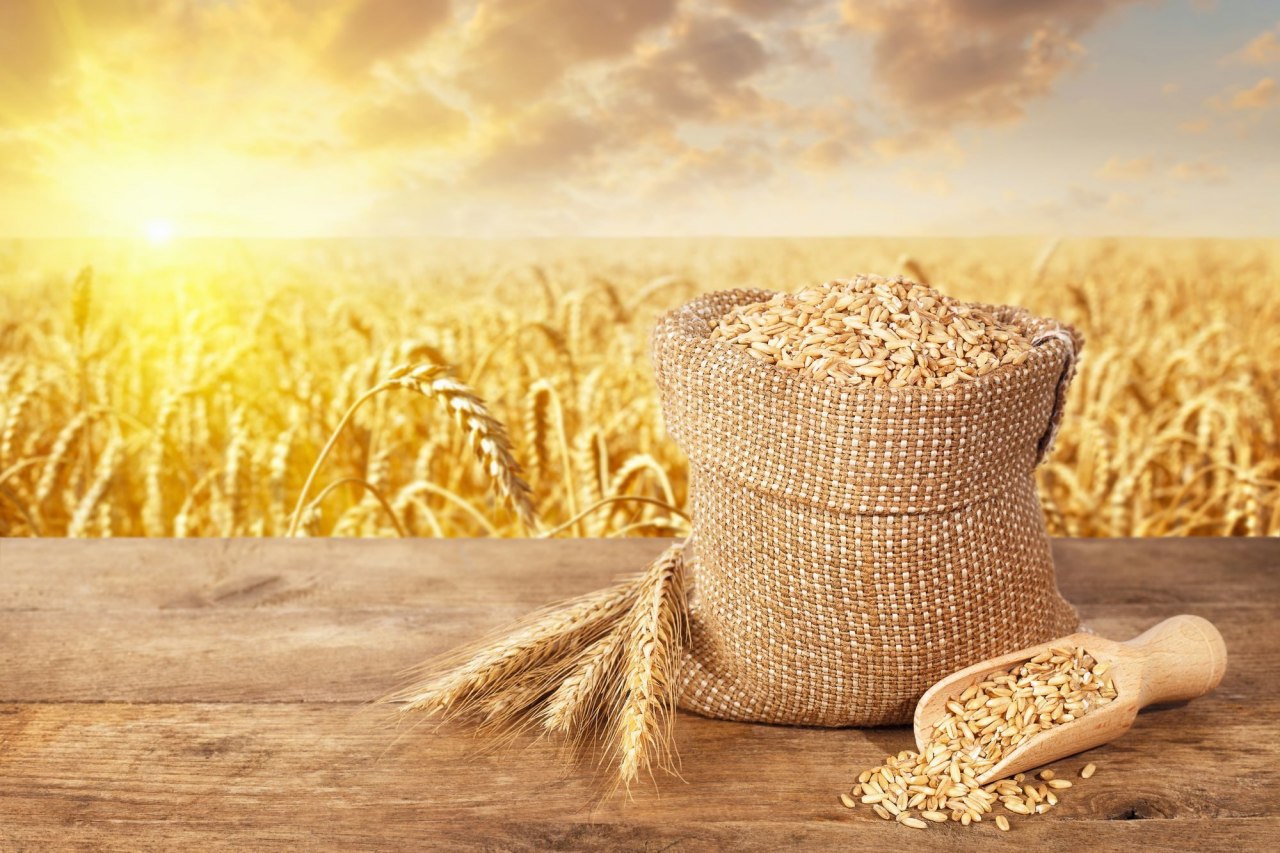 Судан намерен закупать у России свыше 1 млн тонн пшеницы