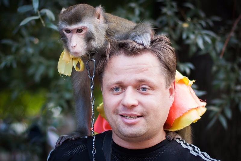 Перестаньте кормить чужих обезьян – Telegraph