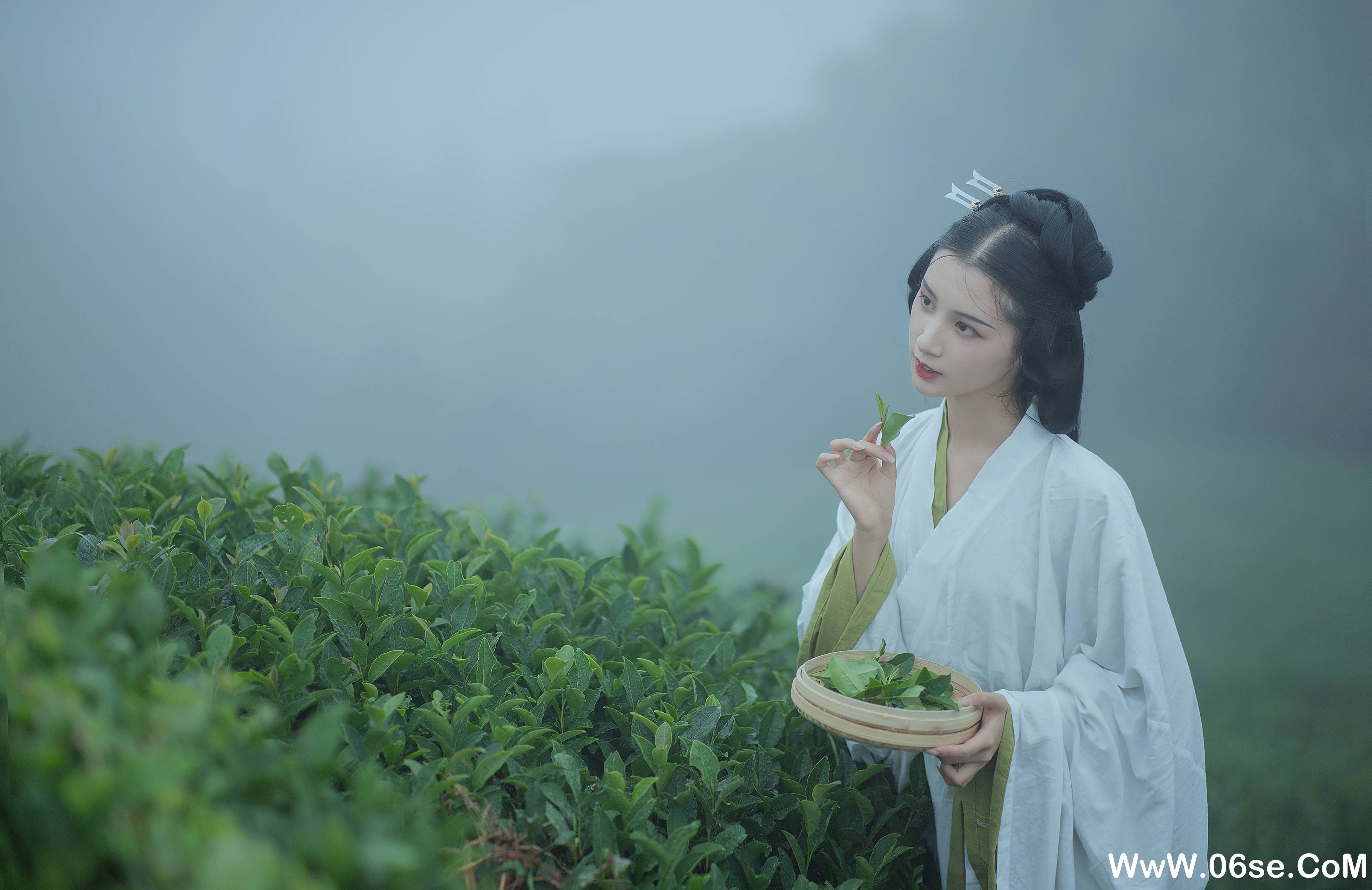 图片[8]-[YITUYU艺图语]2021.12.02 采茶女 十八重川[19+1P／151MB]-六色网
