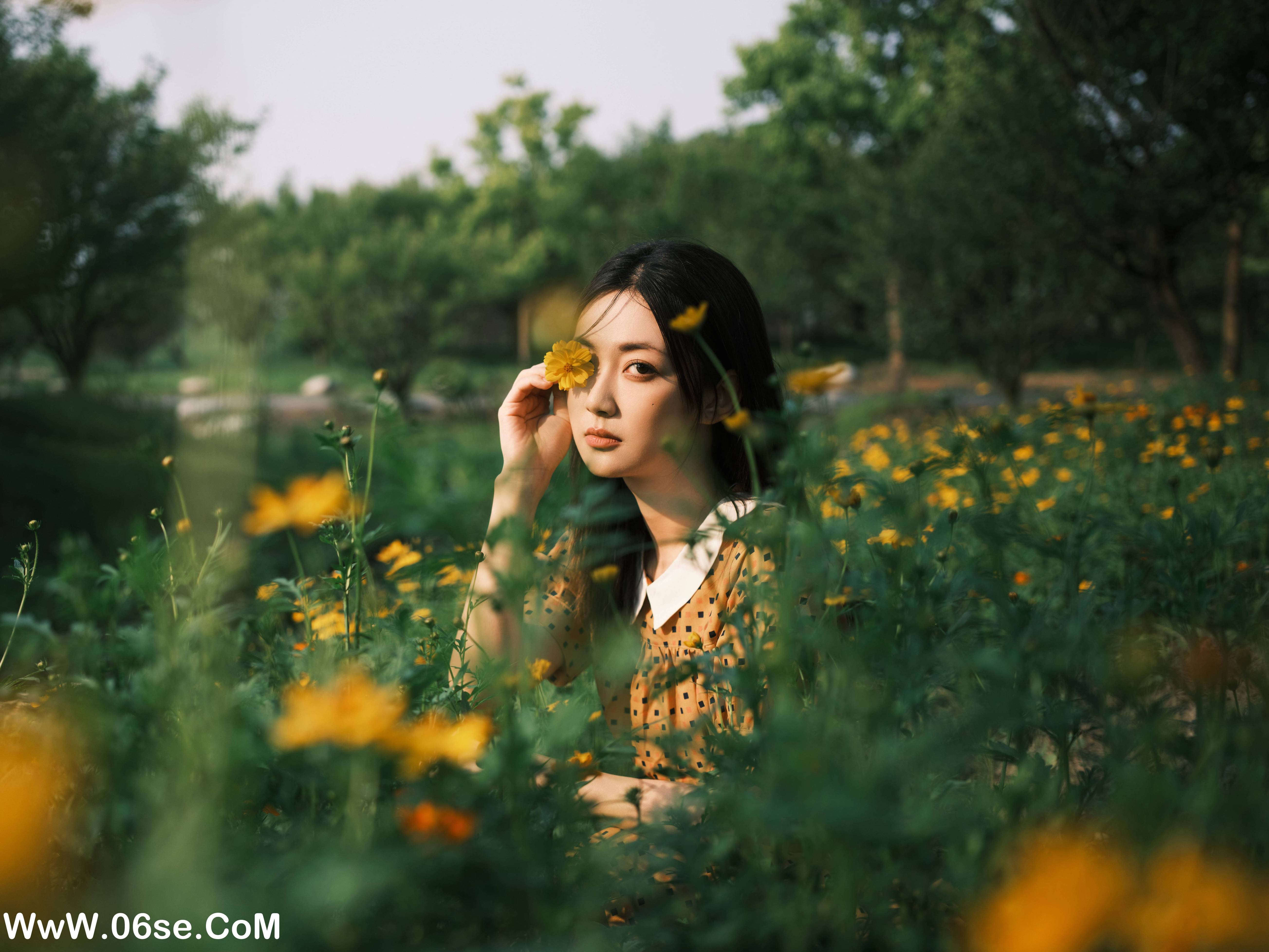 图片[14]-[YITUYU艺图语]2022.08.08 硫华菊&柳叶马鞭草-是夏天的味道呀！ 飞鸟咕咕-[43+1P／1.08GB]-六色网
