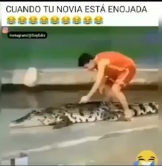 Cuando tu novia está enojada