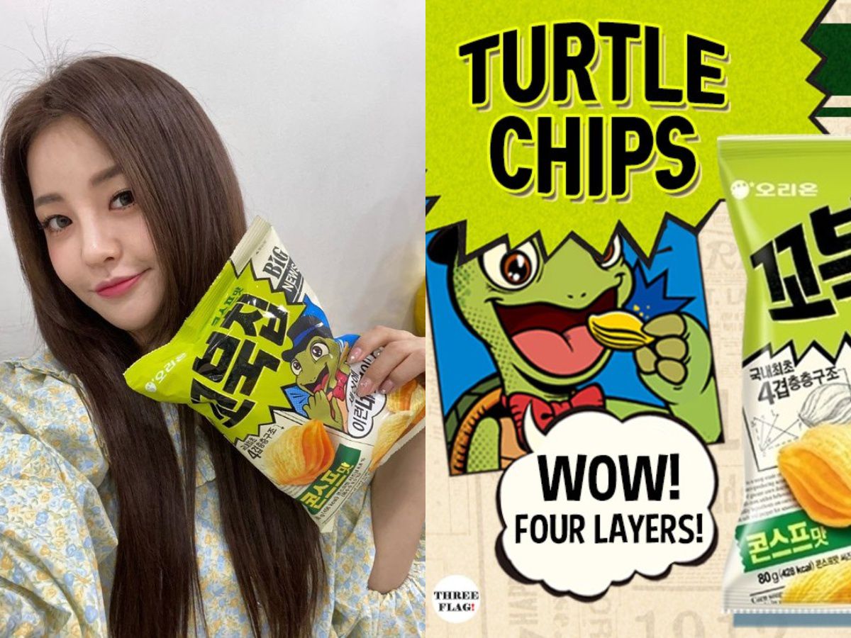 Turtle Chips