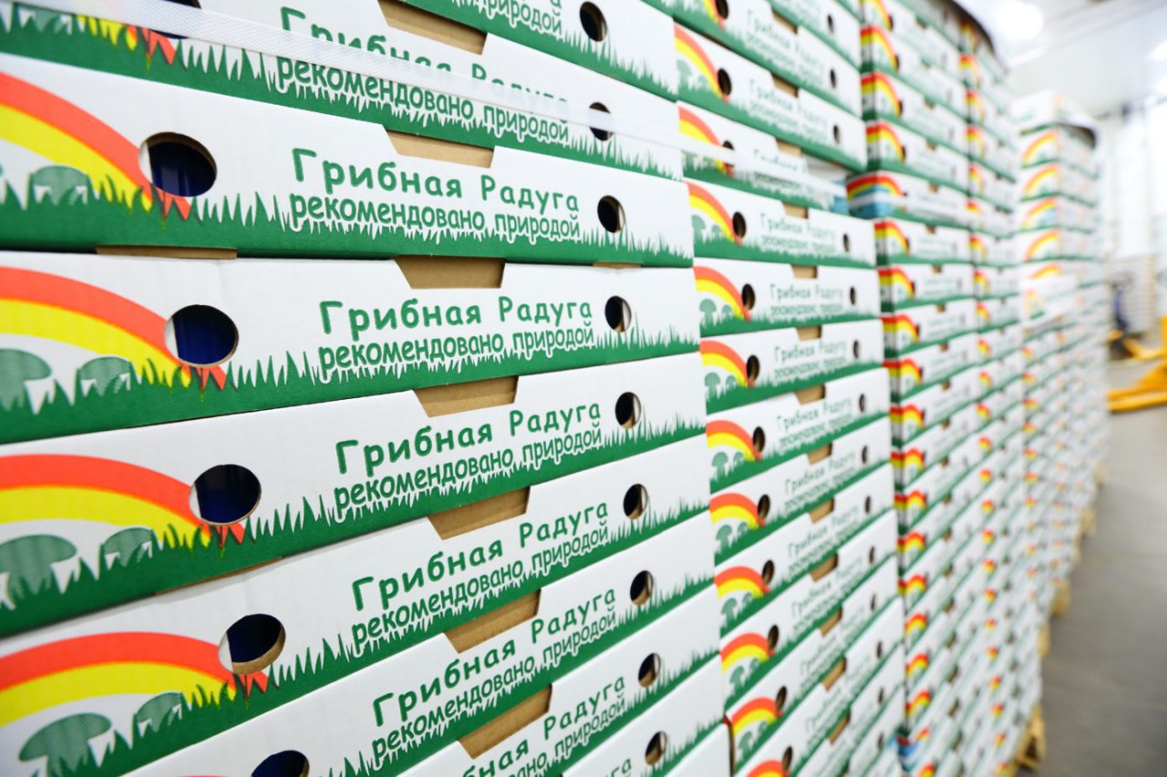 «Грибная радуга» вложила 2,6 млрд рублей в расширение производства грибов