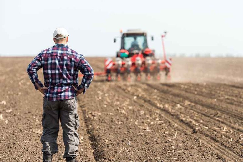 Следить за плодородием почв может стать обязанностью пользователей сельхозучастков