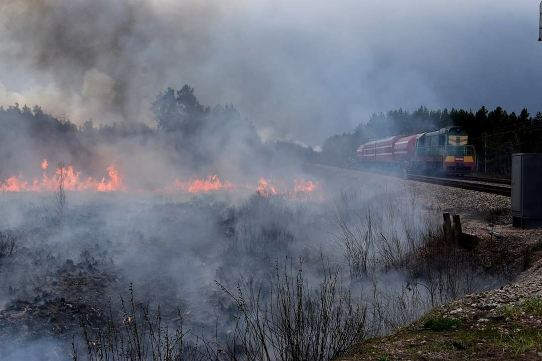 Пожежі на Житомирщині