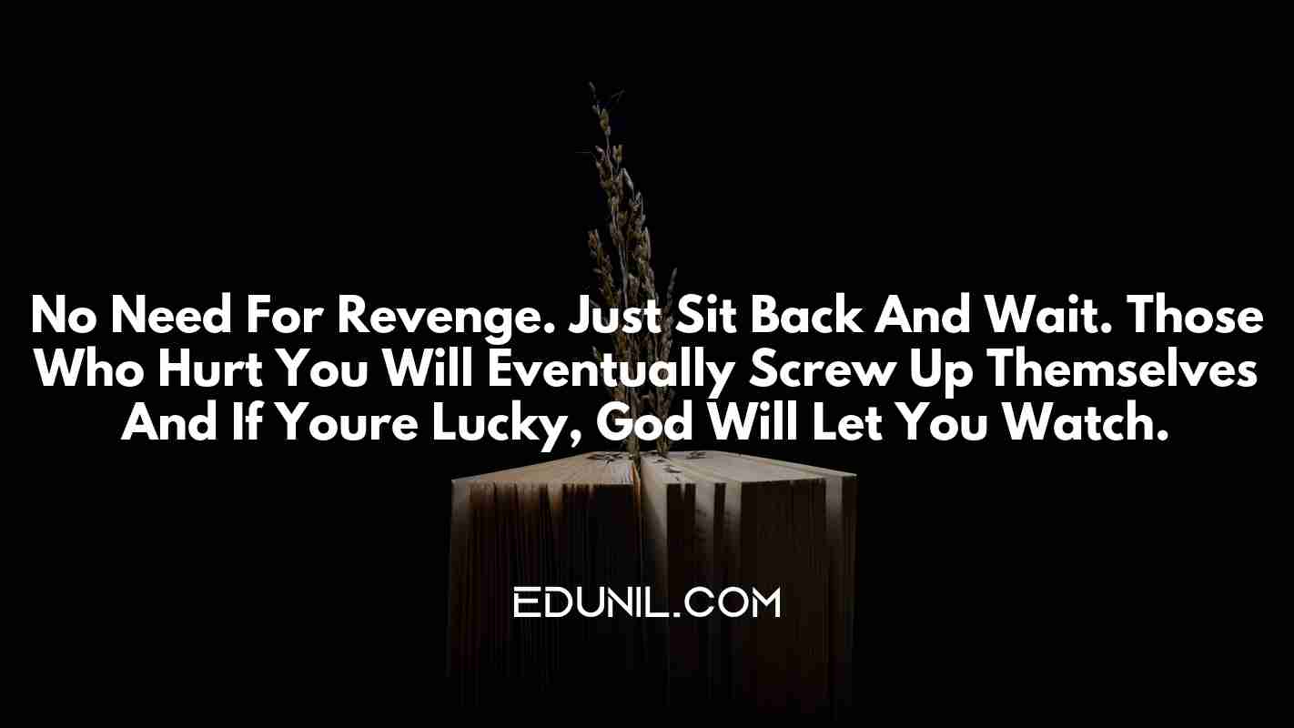 No Need For Revenge. Just Sit Back And Wait. Those Who Hurt You Will Eventually Screw Up Themselves And If You’re Lucky, God Will Let You Watch. -  