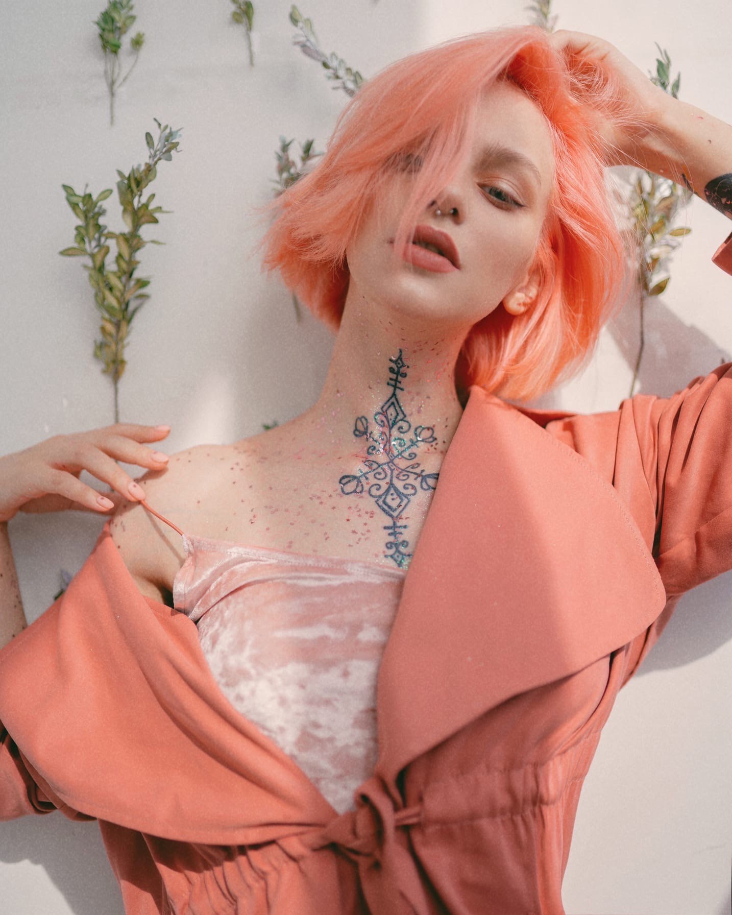 Rosemary - Telegraph 