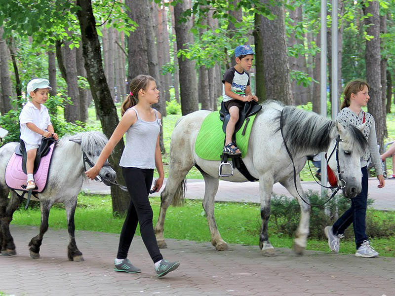 Дети катаются на лошадях