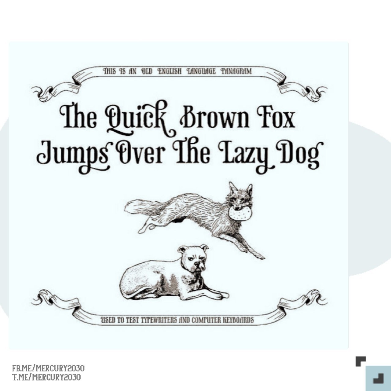 Brown fox jumps over the lazy dog