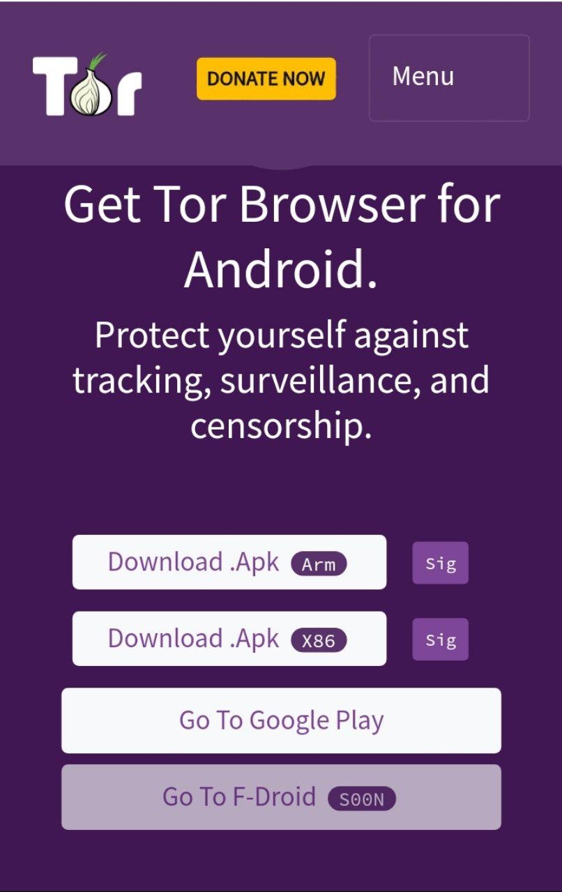 download tor proxy browser