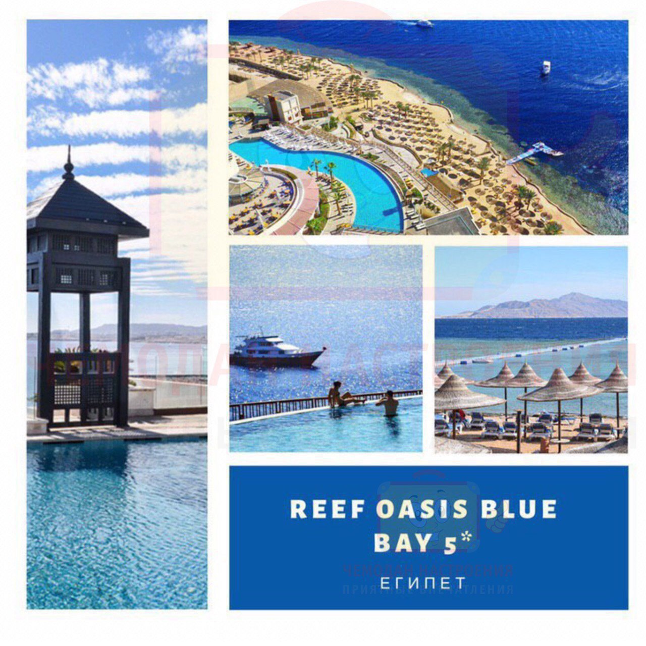 Reef oasis blue bay карта отеля