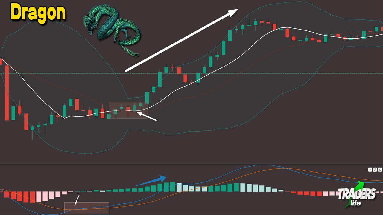 Trading dragon