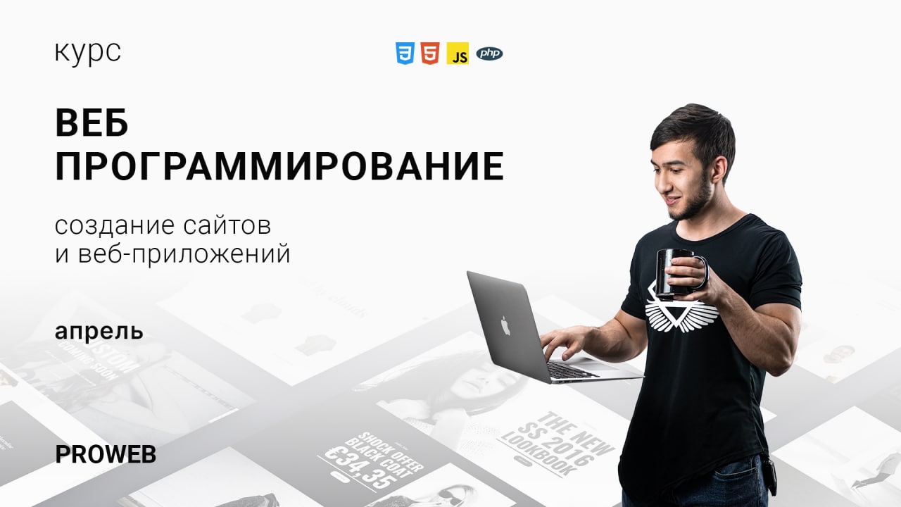 Курс веб. PROWEB. Провеб веб программирование. PROWEB logo. Путеводитель по курсам веб программирования.