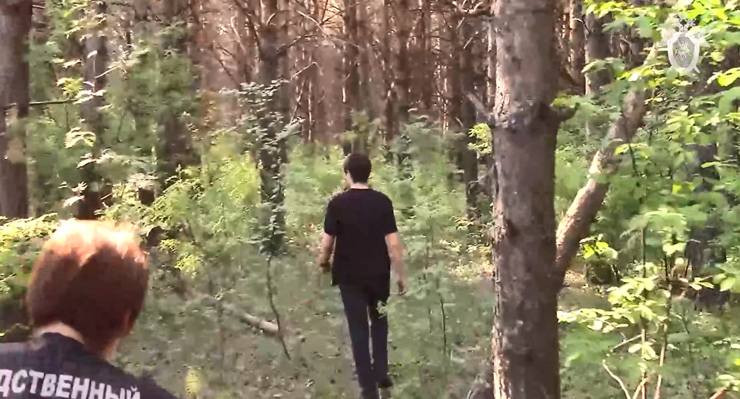 Отвезли в лес и наказали на камеру. Лес. Мальчик привязан к дереву. Лес днем.