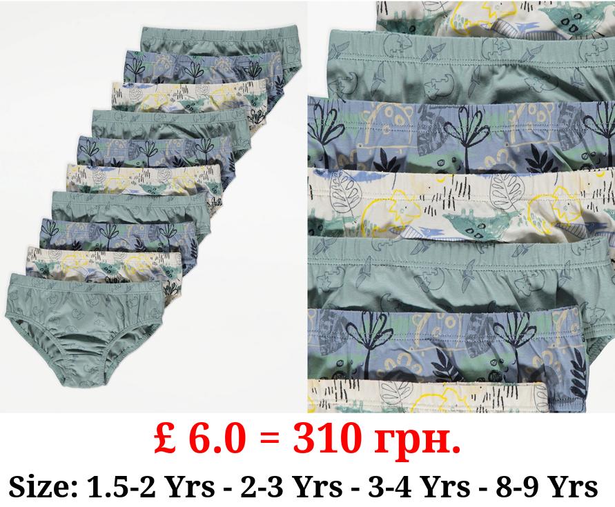 Sage Green Dinosaur Briefs 10 Pack