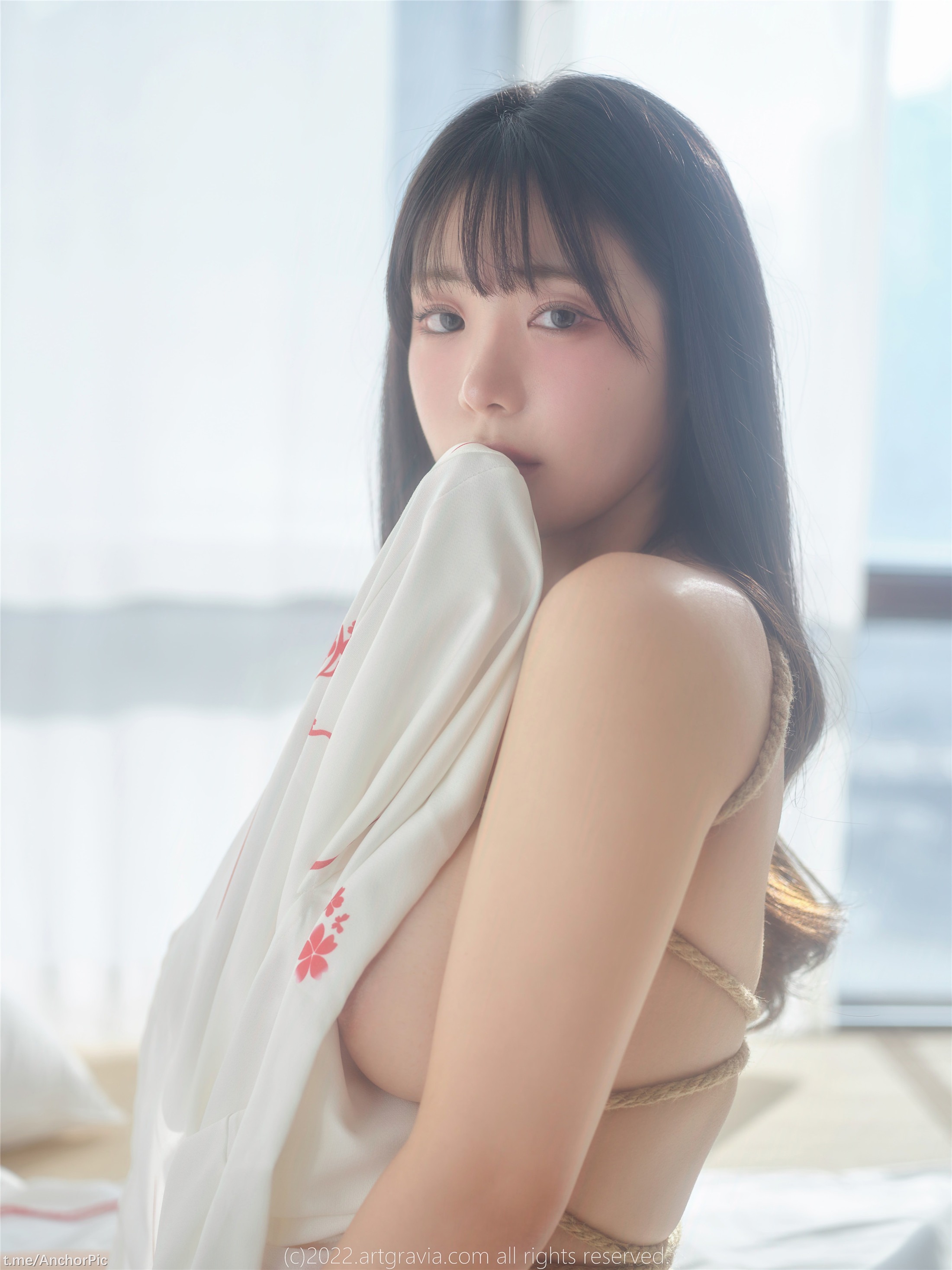 [ArtGravia] VOL.464 Wuyo 100P 38