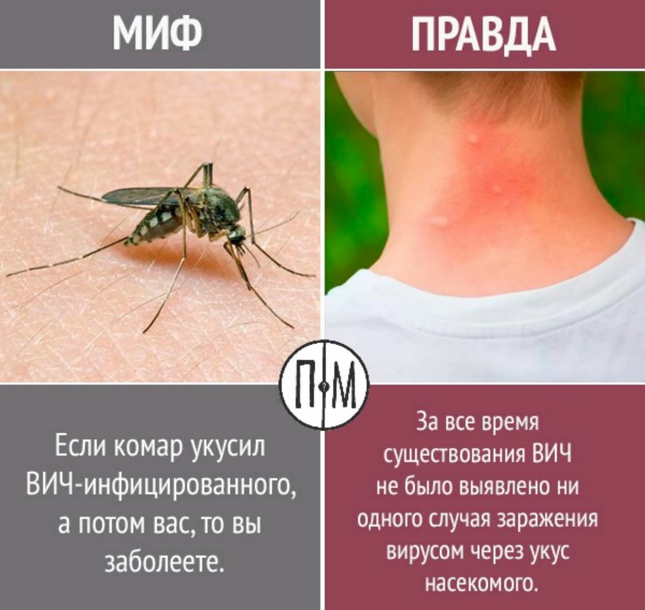 Как понимать муху