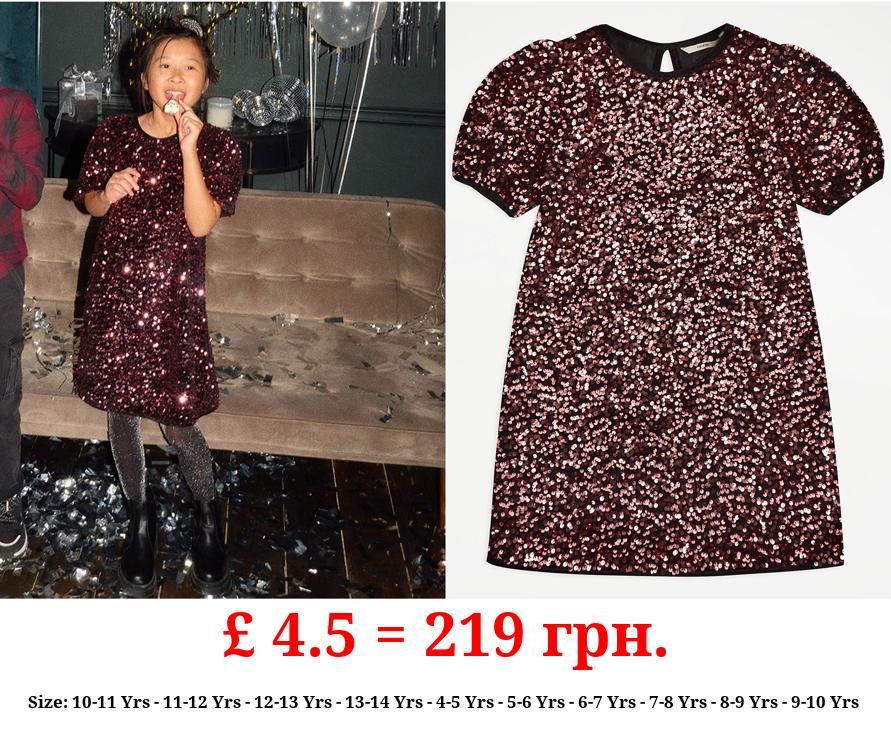 Rose Gold Velvet Sequin Dress