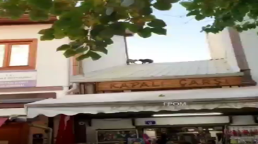 Pelea de gatos sobre el tejado