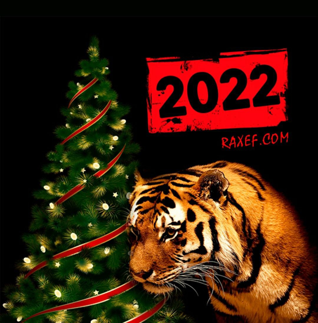 Новый год праздник 2022 с тигром