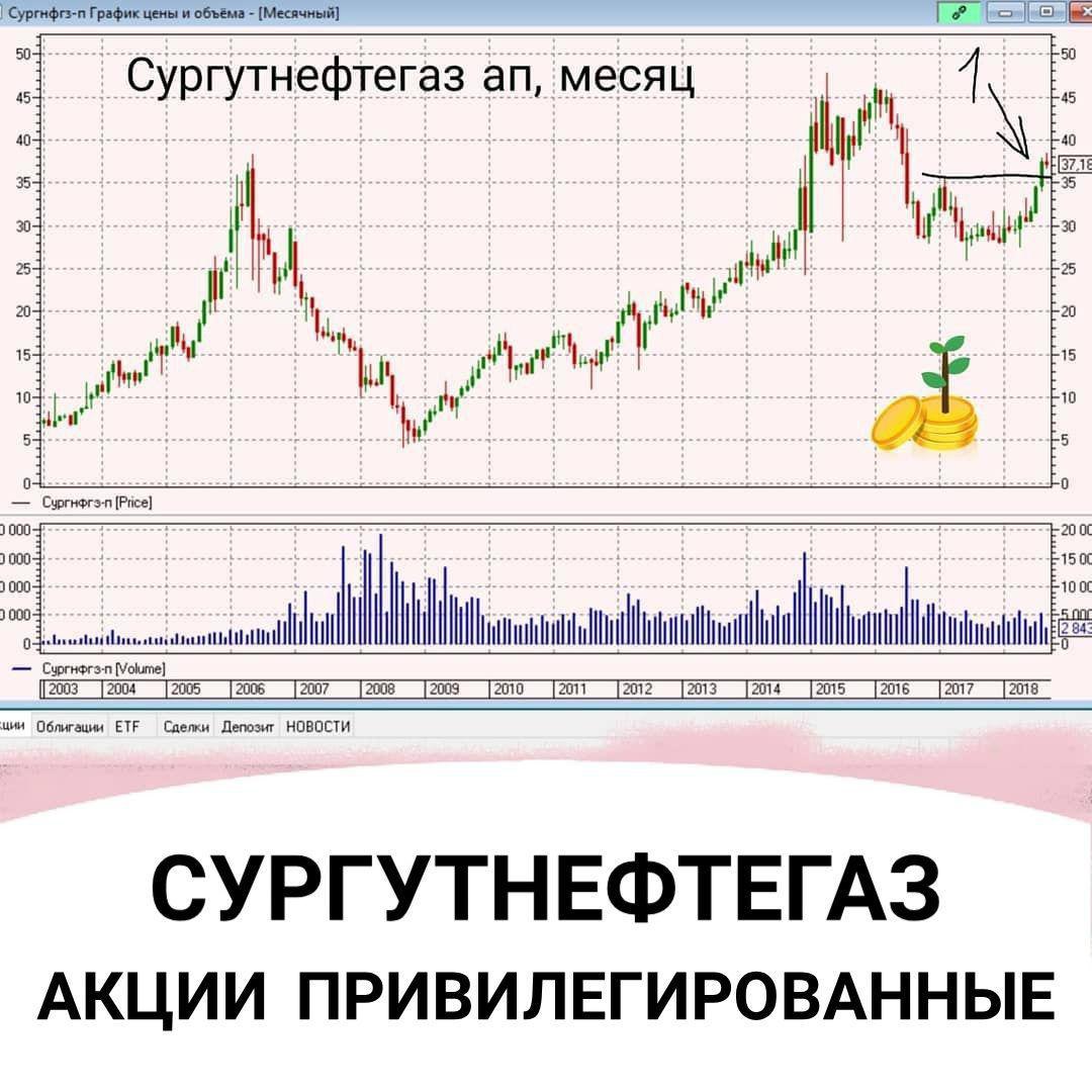 Почему акции сургутнефтегаза