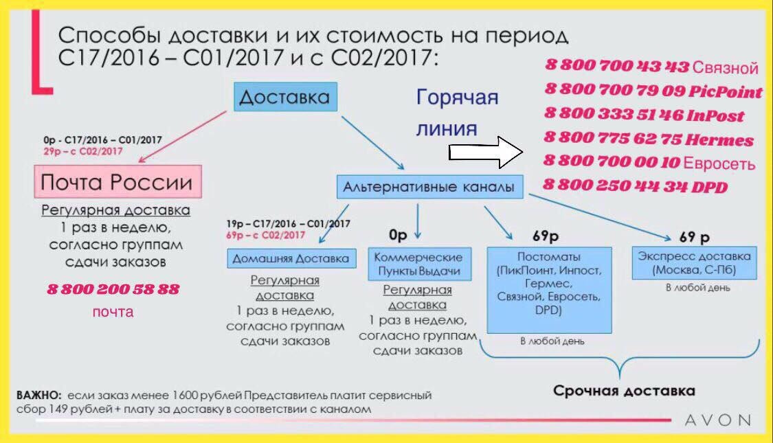 Способ заказа. Номер эйвон горячая линия. Avon горячая линия. Номер телефона Avon горячая. Avon горячая линия 8800.