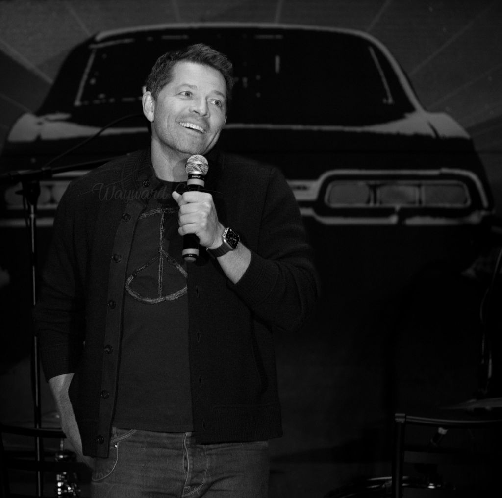 Перевод панели Миши на #SPNNash 2022 – Telegraph