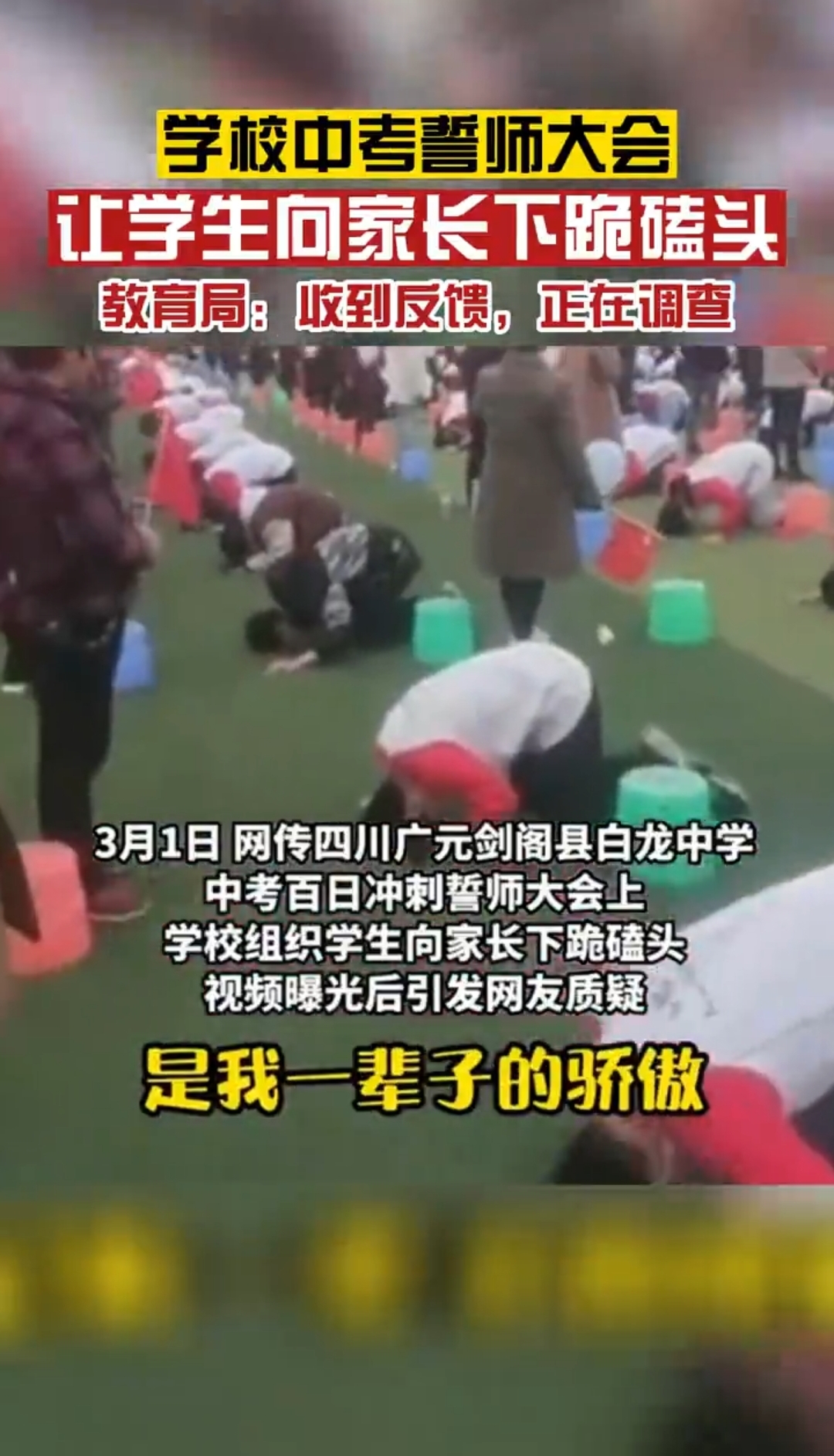 https://telegra.ph/file/1a648ff30c76304393bbf.jpg
