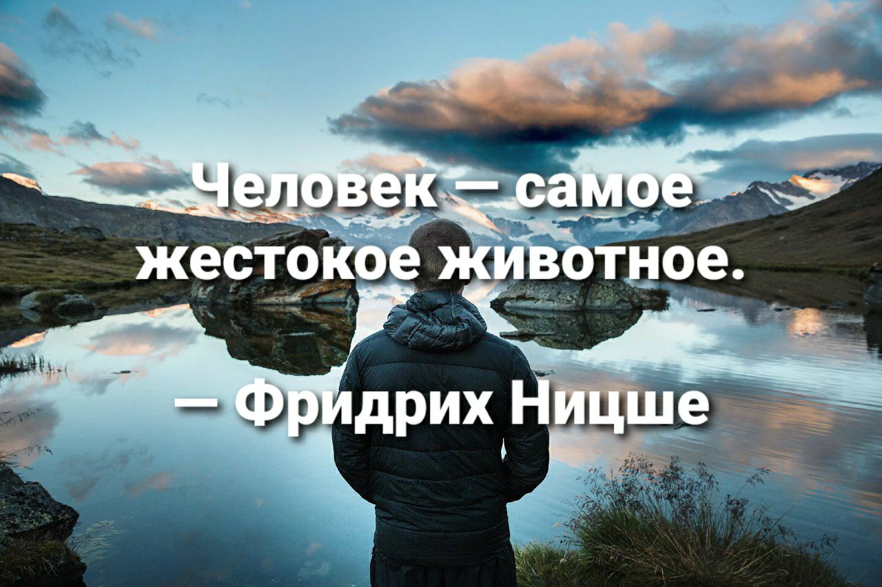 Самому человеку. Человек самое жестокое животное. Люди самые жестокие существа. Люди самые жестокие существа цитаты. Человек самое жестокое существо на земле.