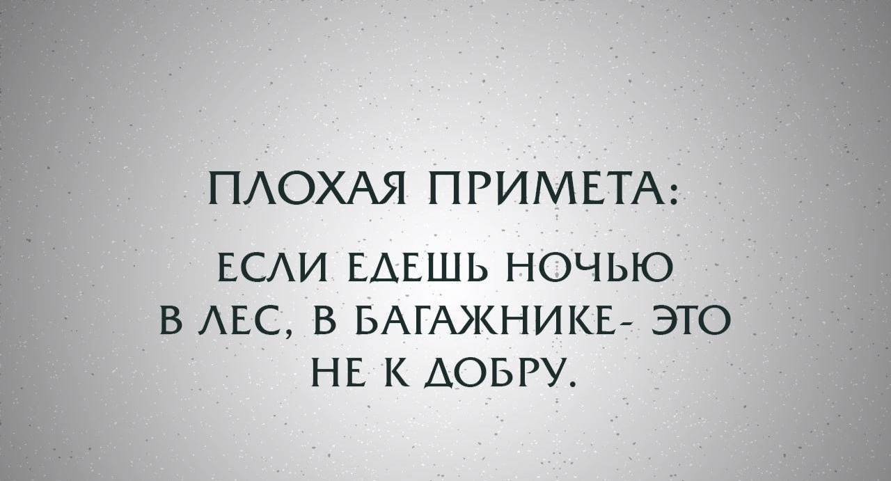 Плохие примет. Плохая примета ехать ночью в лес. Плохая примета ехать ночью в багажнике. Плохая примета ночью.в лес в багажнике. Плохая примета ехать ночью в лес в багажнике.