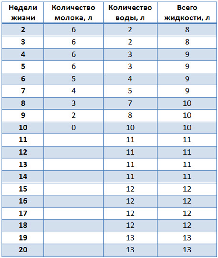 Месячному теленку сколько молока. Схема выпойки телят до 3 месяцев. Схема выпойки молоеом телят. Схема выпойки молока телятам. Таблица выпойки телят.