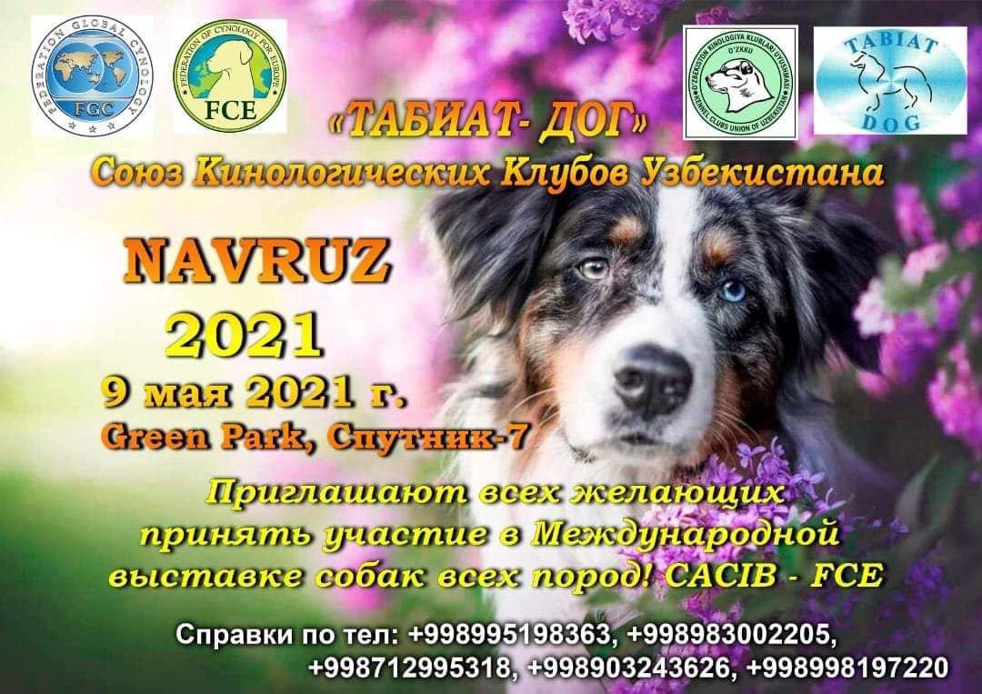 Выставка собак в москве май 2024